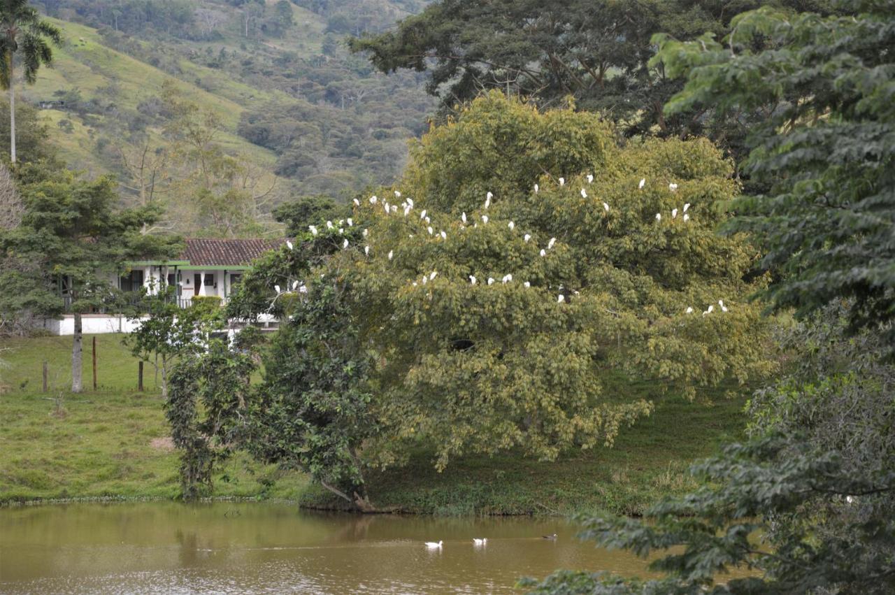 San Juan De Los Guayabos Guaduas Dış mekan fotoğraf