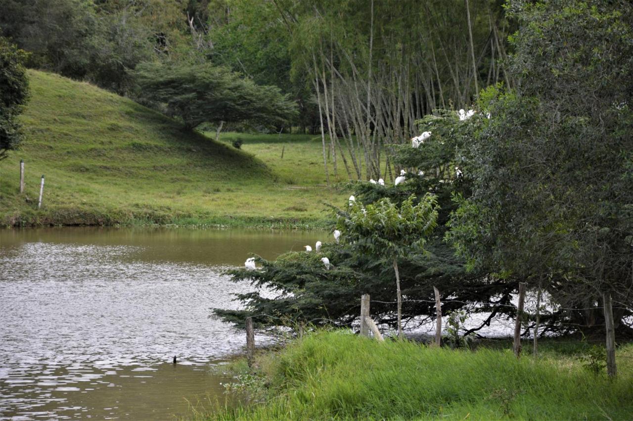 San Juan De Los Guayabos Guaduas Dış mekan fotoğraf